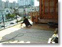 madu cedar deck 10.jpg